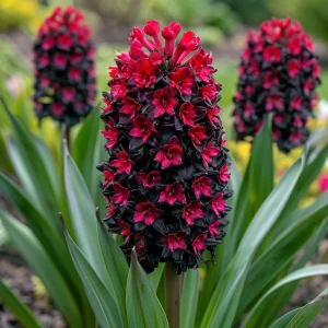 Гиацинт Джем Стоун купить по цене от 2099р. в интернет-магазине «Посадика» с доставкой почтой в в Высоцке и по всей России – [изображение №1].