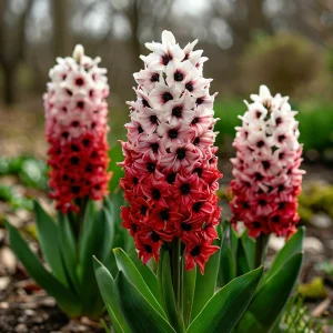 Гиацинт Скай Гарден купить по цене от 2099р. в интернет-магазине «Посадика» с доставкой почтой в в Высоцке и по всей России – [изображение №1].